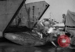Image of American troops Salerno Italy, 1943, second 45 stock footage video 65675068621