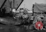 Image of American troops Salerno Italy, 1943, second 48 stock footage video 65675068621