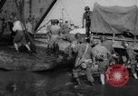 Image of American troops Salerno Italy, 1943, second 49 stock footage video 65675068621