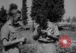 Image of American troops Salerno Italy, 1943, second 19 stock footage video 65675068623