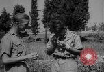 Image of American troops Salerno Italy, 1943, second 21 stock footage video 65675068623