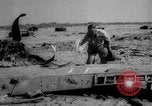 Image of American troops Salerno Italy, 1943, second 41 stock footage video 65675068623