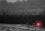 Image of 442nd Infantry Regiment France, 1944, second 48 stock footage video 65675068624