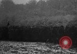 Image of 442nd Infantry Regiment France, 1944, second 49 stock footage video 65675068624