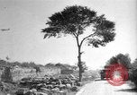Image of Salerno landings Salerno Italy, 1943, second 11 stock footage video 65675068632