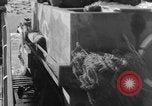 Image of invasion convoy Salerno Italy, 1943, second 33 stock footage video 65675068635