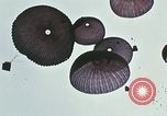 Immagine di Materiali di consumo catapultato alle truppe USA sotto attacco da nord Vietnamiti Il Vietnam, 1968, secondo 37 filmato di repertorio 65675068670