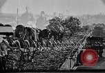 Standbild Kaiser Nikolaus II Russland, 1917, aus Sekunde 60 historischem Filmmaterial Videoclip 65675068681