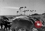 Standbild Zuckerrohr Ernte Barbados, 1936, aus Sekunde 27 historischem Filmmaterial Videoclip 65675068690