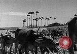 Standbild Zuckerrohr Ernte Barbados, 1936, aus Sekunde 37 historischem Filmmaterial Videoclip 65675068690