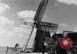 Standbild Zuckerrohr Ernte Barbados, 1936, aus Sekunde 56 historischem Filmmaterial Videoclip 65675068690