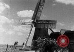 Standbild Zuckerrohr Ernte Barbados, 1936, aus Sekunde 61 historischem Filmmaterial Videoclip 65675068690