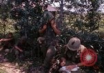 Immagine di Funzionamento Prairie III Il Vietnam, 1967, secondo 11 filmato di repertorio 65675068726