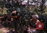 Immagine di Funzionamento Prairie III Il Vietnam, 1967, secondo 13 filmato di repertorio 65675068726