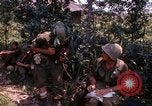Immagine di Funzionamento Prairie III Il Vietnam, 1967, secondo 14 filmato di repertorio 65675068726