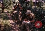 Immagine di Funzionamento Prairie III Il Vietnam, 1967, secondo 29 filmato di repertorio 65675068726