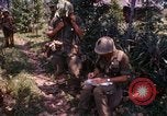 Immagine di Funzionamento Prairie III Il Vietnam, 1967, secondo 32 filmato di repertorio 65675068726