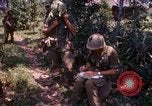 Immagine di Funzionamento Prairie III Il Vietnam, 1967, secondo 34 filmato di repertorio 65675068726