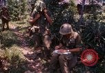 Immagine di Funzionamento Prairie III Il Vietnam, 1967, secondo 35 filmato di repertorio 65675068726
