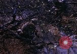 Image Opération Prairie III Vietnam, 1967, de la seconde 22 séquences d'archives historiques vidéo 65675068728
