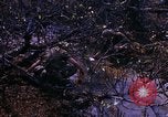 Image Opération Prairie III Vietnam, 1967, de la seconde 27 séquences d'archives historiques vidéo 65675068728