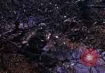 Image Opération Prairie III Vietnam, 1967, de la seconde 29 séquences d'archives historiques vidéo 65675068728