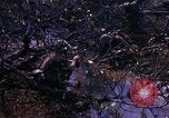 Image Opération Prairie III Vietnam, 1967, de la seconde 33 séquences d'archives historiques vidéo 65675068728