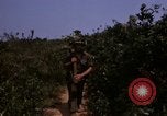 Standbild 3rd Marine Division Vietnam, 1967, aus Sekunde 40 historischem Filmmaterial Videoclip 65675068729