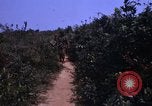 Standbild 3rd Marine Division Vietnam, 1967, aus Sekunde 45 historischem Filmmaterial Videoclip 65675068729