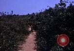 Standbild 3rd Marine Division Vietnam, 1967, aus Sekunde 46 historischem Filmmaterial Videoclip 65675068729