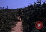 Standbild 3rd Marine Division Vietnam, 1967, aus Sekunde 47 historischem Filmmaterial Videoclip 65675068729