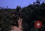 Standbild 3rd Marine Division Vietnam, 1967, aus Sekunde 49 historischem Filmmaterial Videoclip 65675068729
