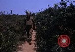 Standbild 3rd Marine Division Vietnam, 1967, aus Sekunde 52 historischem Filmmaterial Videoclip 65675068729
