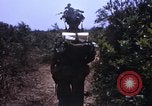 Standbild 3rd Marine Division Vietnam, 1967, aus Sekunde 56 historischem Filmmaterial Videoclip 65675068729