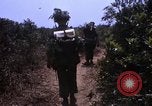 Standbild 3rd Marine Division Vietnam, 1967, aus Sekunde 57 historischem Filmmaterial Videoclip 65675068729
