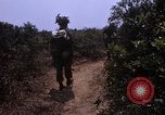 Standbild 3rd Marine Division Vietnam, 1967, aus Sekunde 59 historischem Filmmaterial Videoclip 65675068729