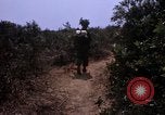 Standbild 3rd Marine Division Vietnam, 1967, aus Sekunde 61 historischem Filmmaterial Videoclip 65675068729