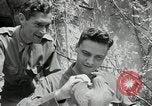 Standbild US Army University Study Center nach Zweiten Weltkrieg Frankreich, 1946, aus Sekunde 50 historischem Filmmaterial Videoclip 65675068737
