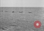 Image of U.S. sailors and marines in training exercises during World War I Key West Florida USA, 1918, second 5 stock footage video 65675068742