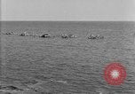 Image of U.S. sailors and marines in training exercises during World War I Key West Florida USA, 1918, second 7 stock footage video 65675068742