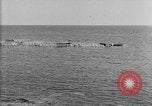 Image of U.S. sailors and marines in training exercises during World War I Key West Florida USA, 1918, second 31 stock footage video 65675068742
