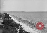 Image of U.S. sailors and marines in training exercises during World War I Key West Florida USA, 1918, second 42 stock footage video 65675068742