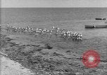 Image of U.S. sailors and marines in training exercises during World War I Key West Florida USA, 1918, second 48 stock footage video 65675068742