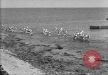 Image of U.S. sailors and marines in training exercises during World War I Key West Florida USA, 1918, second 52 stock footage video 65675068742