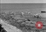 Image of U.S. sailors and marines in training exercises during World War I Key West Florida USA, 1918, second 53 stock footage video 65675068742