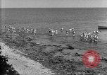 Image of U.S. sailors and marines in training exercises during World War I Key West Florida USA, 1918, second 54 stock footage video 65675068742