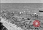 Image of U.S. sailors and marines in training exercises during World War I Key West Florida USA, 1918, second 55 stock footage video 65675068742
