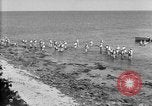 Image of U.S. sailors and marines in training exercises during World War I Key West Florida USA, 1918, second 58 stock footage video 65675068742