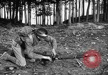 Image of United States Marine weapons familiarity Key West Florida United States USA, 1918, second 19 stock footage video 65675068748