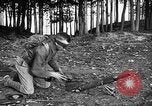Image of United States Marine weapons familiarity Key West Florida United States USA, 1918, second 41 stock footage video 65675068748